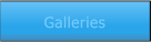 Galleries Galleries