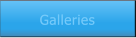 Galleries Galleries